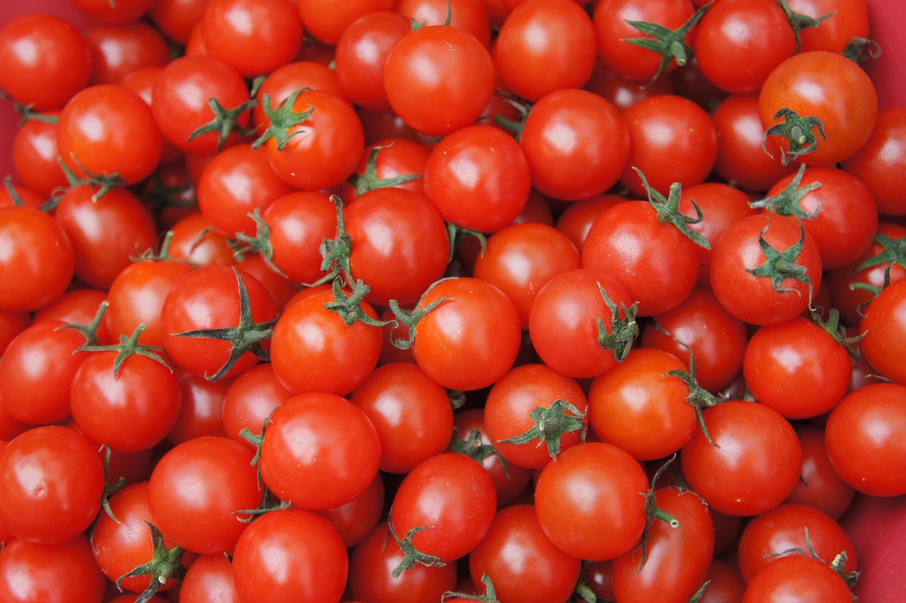 Tomato Price high